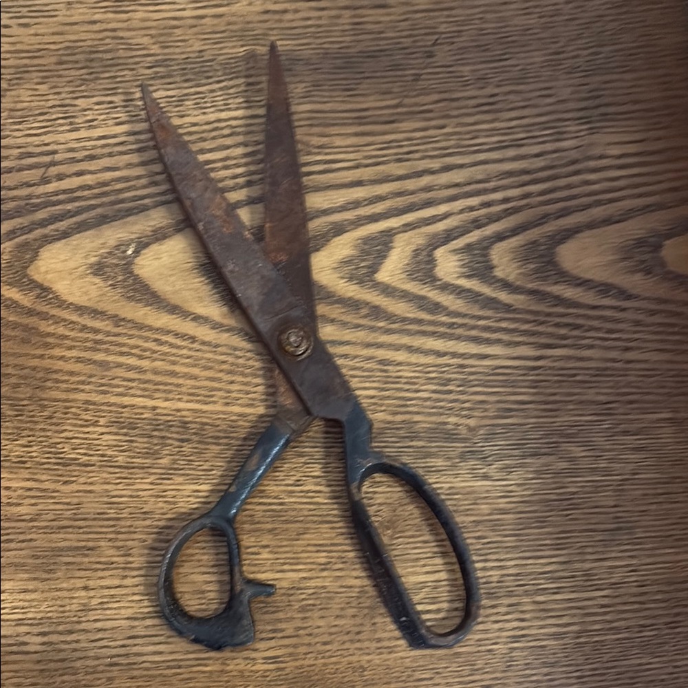 Vintage Rusty Crusty Scissors